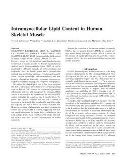 Intramyocellular Lipid Content in Human Skeletal Muscle