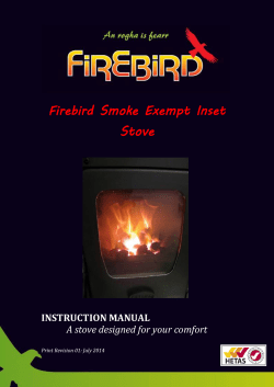 Firebird Smoke Exempt Inset Stove
