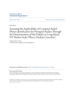 Assessing the Applicability of Compuer Aided Photo