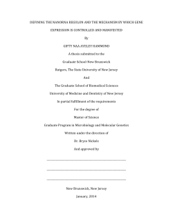 PDF-1 - RUcore