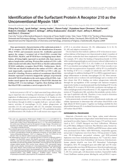 Identification of the Surfactant Protein A Receptor 210 as the