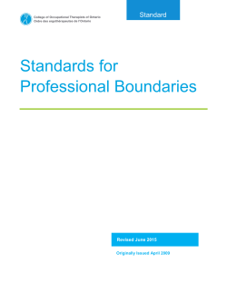 Standards for Professional Boundaries