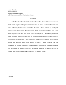 Lauren Mazzotta, Individual Assessment Project