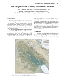 (05) 6.05 Iraq-Marshland.indd