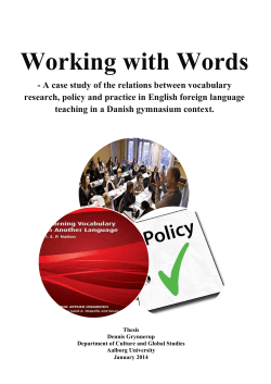 Thesis Working with Words