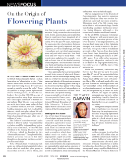 On the Origin of Flowering Plants