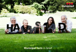 Municipal facts in brief