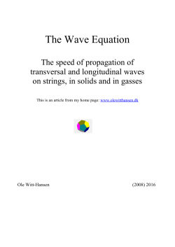 The Wave Equation - Ole Witt
