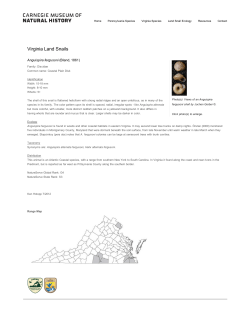 Mollusks : Carnegie Museum of Natural History