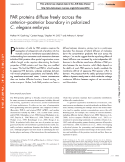 PAR proteins diffuse freely across the anterior