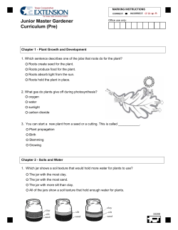 4-H Online - JMG - Curriculum Knowledge - Pre (33208