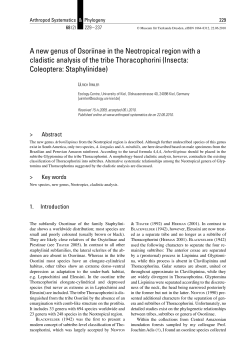A new genus of Osoriinae in the Neotropical region with a cladistic