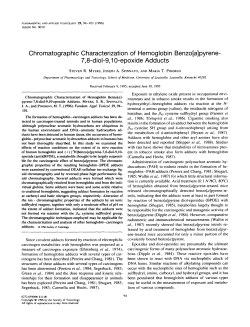 Chromatographic Characterization of Hemoglobin Benzo[a]pyrene