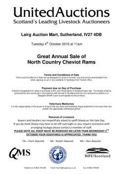 Great Annual Sale of North Country Cheviot Rams