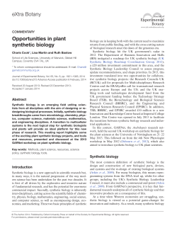 eXtra Botany Opportunities in plant synthetic