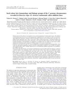 Seed colour loci, homoeology and linkage groups of the C genome