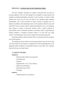 1. Extraction of DNA from bacteria - EHU-OCW