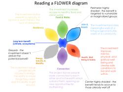 How to read a FLOWER Diagram