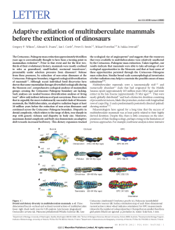 Adaptive radiation of multituberculate mammals before the extinction