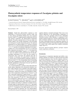 Photosynthetic temperature responses of Eucalyptus globulus an