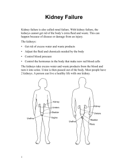 Kidney Failure - Tagalog - Health Information Translations