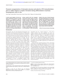 Dynamic reorganization of chromatin structure and selective DNA