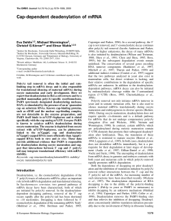 Cap‐dependent deadenylation of mRNA