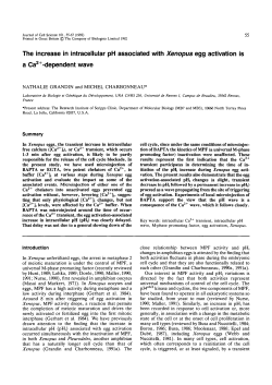The increase in intracellular pH associated with Xenopus egg