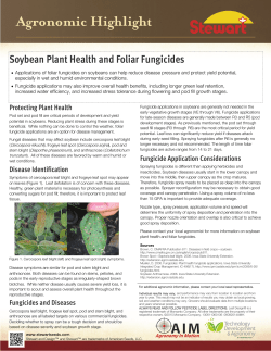 Soybean Plant Health and Foliar Fungicides -TDA