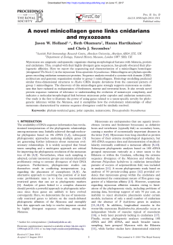 A novel minicollagen gene links cnidarians and myxozoans