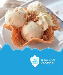 franchise brochure