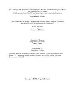 Holcomb_MK_T_2014 - VTechWorks