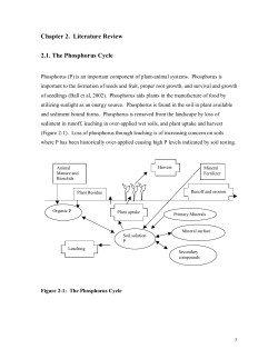 2.1. The Phosphorus Cycle