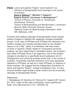 Lysine and arginine &ldquo;fingers&rdquo; could replace K+ as cofactors of