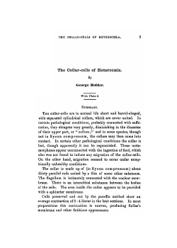 The Collar-cells of Heterocoela.