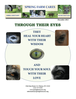 THROUGH THEIR EYES - Spring Farm Cares