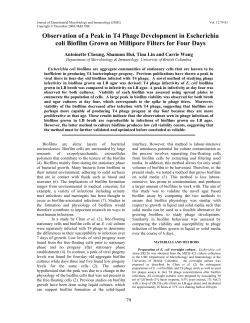 A peak in Escherichia coli biofilm viability corresponds to its peak in