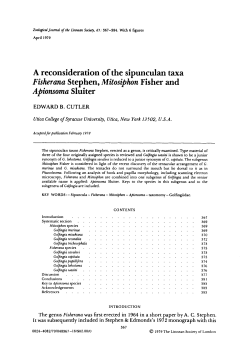 A reconsideration of the sipunculan taxa Fisherana Stephen