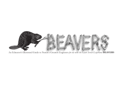 Beavers Teachers Guide - The Stephen Low Company