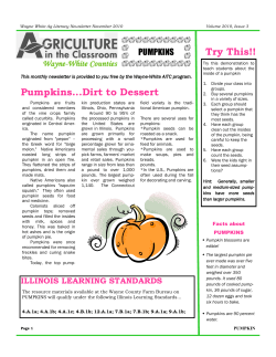 Pumpkins...Dirt to Dessert Try This!!