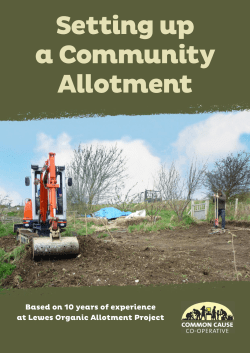 Setting up a Community Allotment