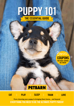 Petbarn Puppy Guide