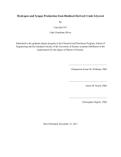 Hydrogen and Syngas Production from Biodiesel