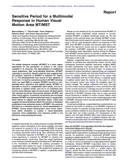 Sensitive Period for a Multimodal Response in