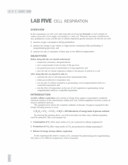 Lab_5CellRespiration