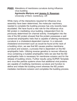 Alterations of membrane curvature during influenza virus budding