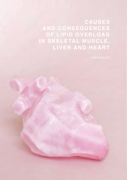 causes and consequences of lipid overload in skeletal muscle, liver
