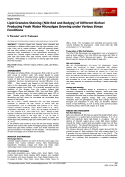 Phenological and Yield Characteristics of Sesame