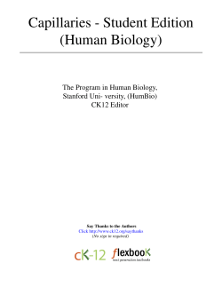 Capillaries - Student Edition (Human Biology)