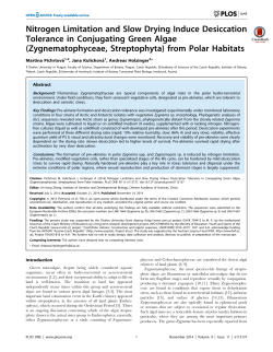 Nitrogen Limitation and Slow Drying Induce Desiccation Tolerance